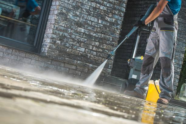 Best Building Exterior Washing  in Sewalls Point, FL
