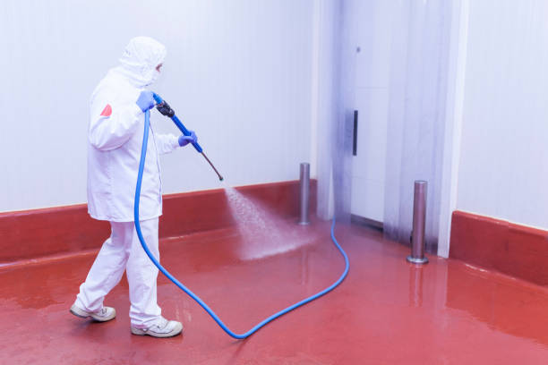 Best Playground Equipment Cleaning  in Sewalls Point, FL